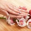 Money manicure: when to cut nails by day of the week Lunar calendar for cutting nails by day of the week